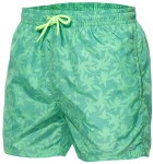 Men's swimshorts bathing shorts 5675 254